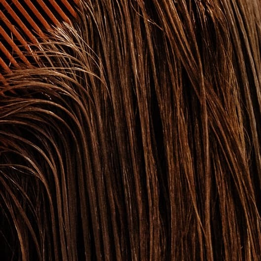 Short & Sweet Bi-weekly at Hair by J Dunn in Pearland, TX